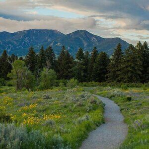 Meet your Posher, Linna